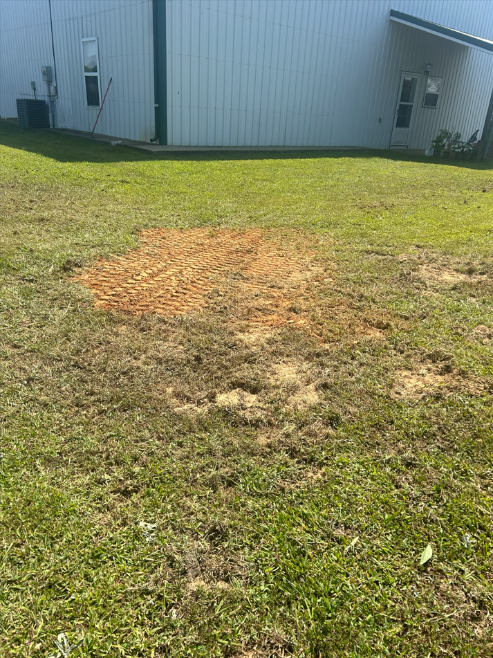 Restored lawn after septic riser installation